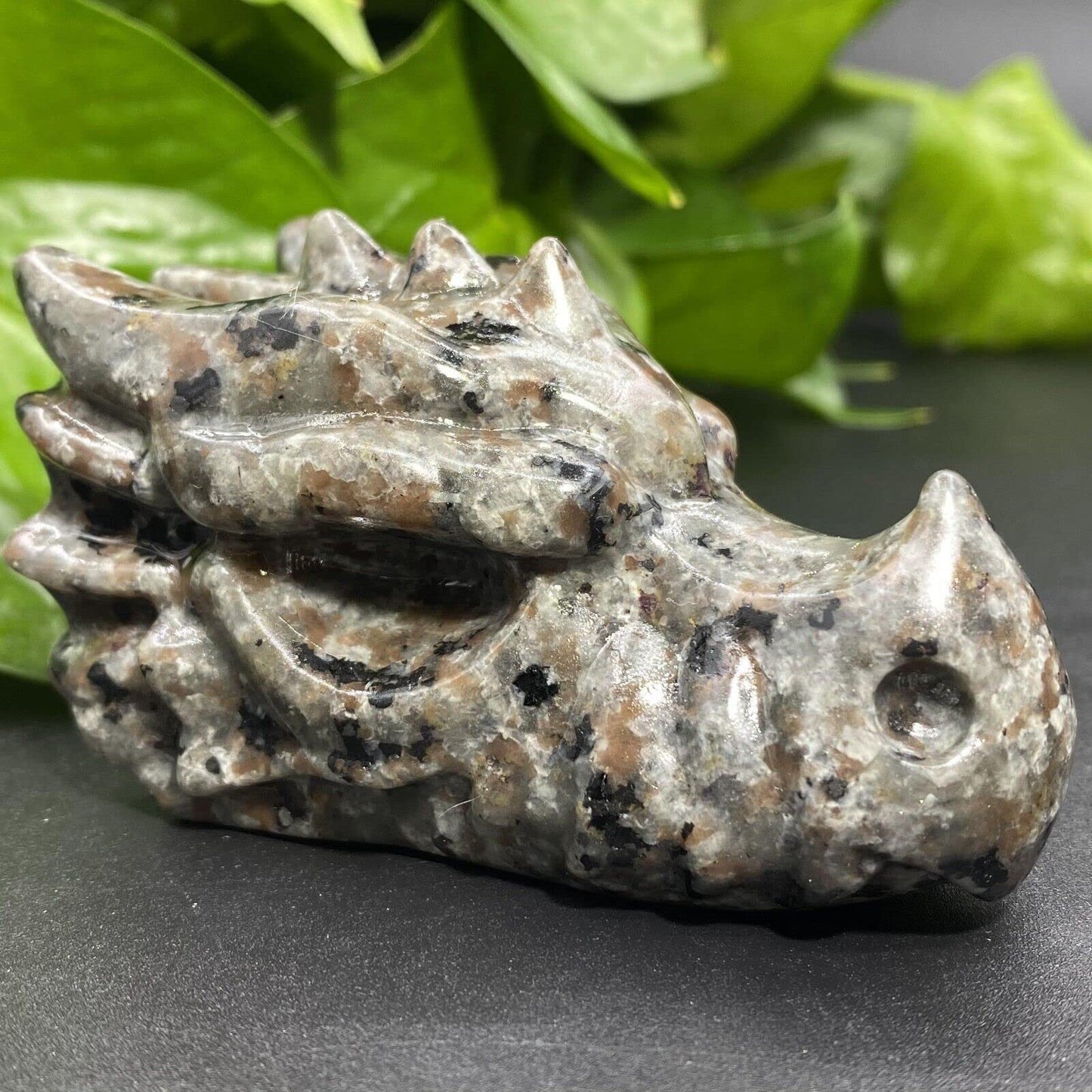 TEAMWILL 3.15" Natural Yooperite Hand Carved Dragon Skull Quartz Crystal Healing 1pc