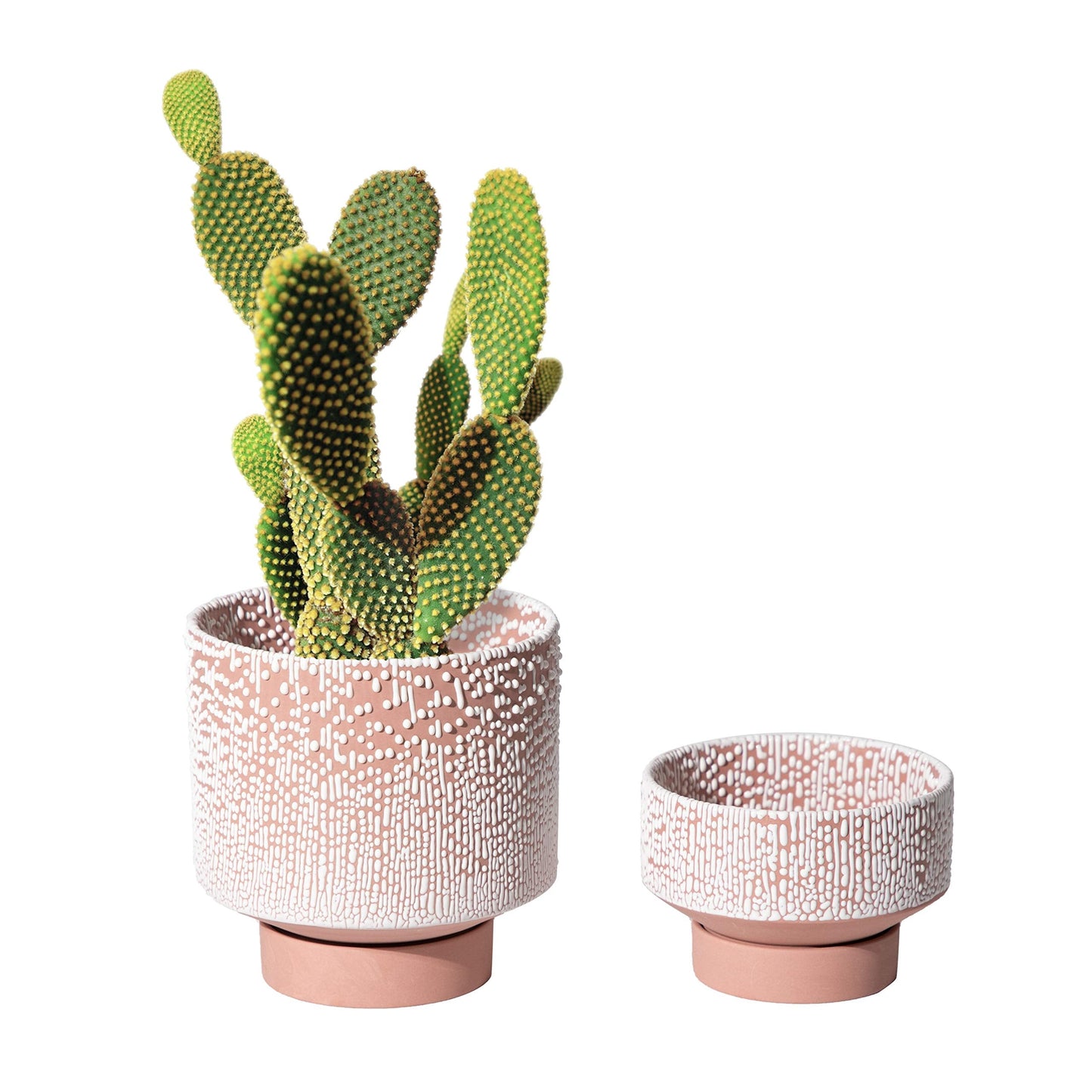 UBEE Planter Ceramic Flower Pot for Indoor Plants | 5.5 inch + 4.9 inch Plant Pot with Saucer and Drainage Hole for Aloe, Snake Plants, Pothos, Orchid, Terracotta with White Glaze Dot