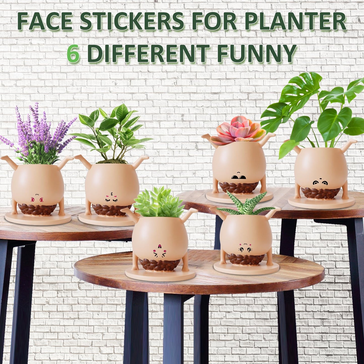 SNILORM Cute Face Planter, Funny Planters for Indoor and Outdoor Plants, Cute Succulent Pot with Sticker, Christmas Birthday Gift Idea Friend Boyfriend Husband Bestie Men Women
