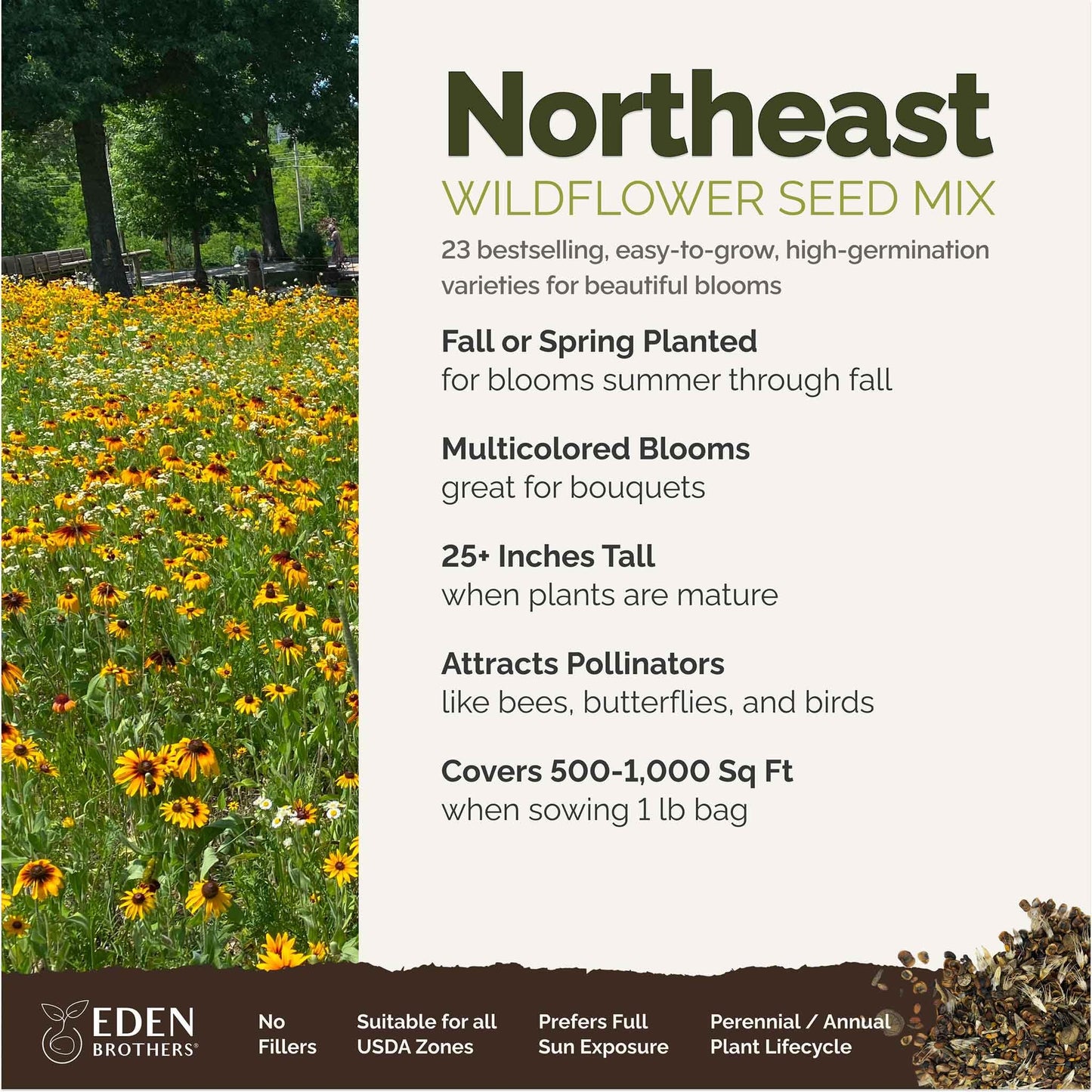 Eden Brothers Northeast Wildflower Mixed Seeds for Planting, 1 lb, 480,000+ Seeds with Cosmos, Candytuft, Shasta Daisy | Attracts Pollinators, Plant in Spring or Fall, Zones 3, 4, 5, 6, 7, 8, 9, 10