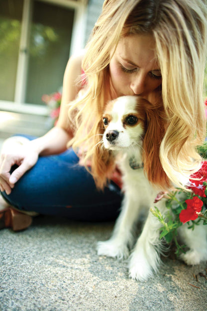 PetSafe Elite Little Dog In-Ground Pet Fence Receiver Collar - for Dogs Over 5 lb - Waterproof with Tone and Static Stimulation – from The Parent Company of Invisible Fence Brand