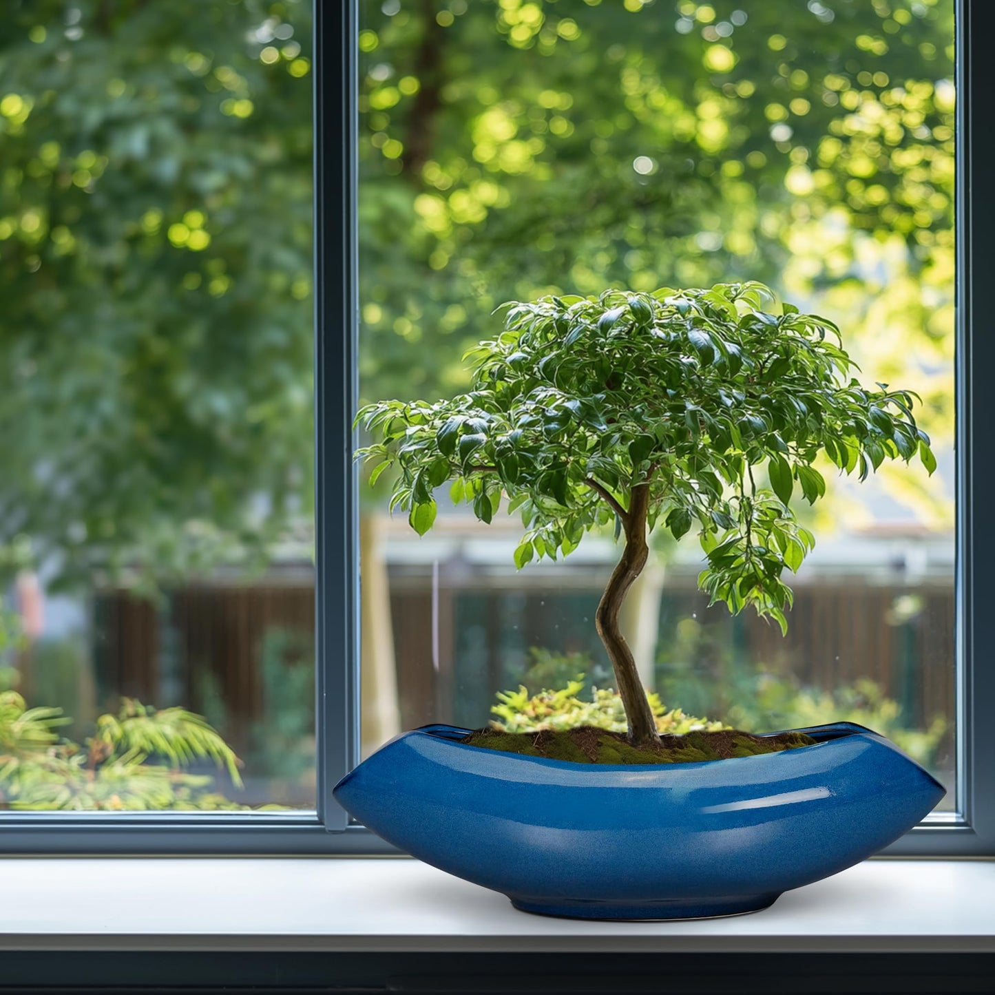 Teagas Bonsai Tree Pot 18 Inch - Ceramic Succulent Pots Large Bonsai Planter for Indoor Outdoor Plants Decorative Plant Pot with Drainage Hole Flower Pot for Home Garden Room Decor Blue