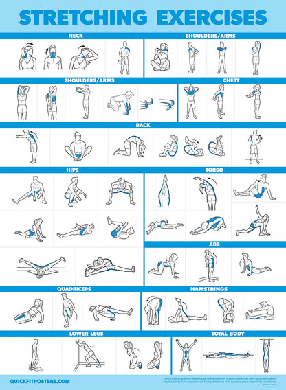 Palace Learning 3 Pack Kettlebell Workouts Volume 1 & 2 + Stretching Exercises Poster Set - Set of 3 Workout Charts [LIGHT] (LAMINATED, 18” x 24”)