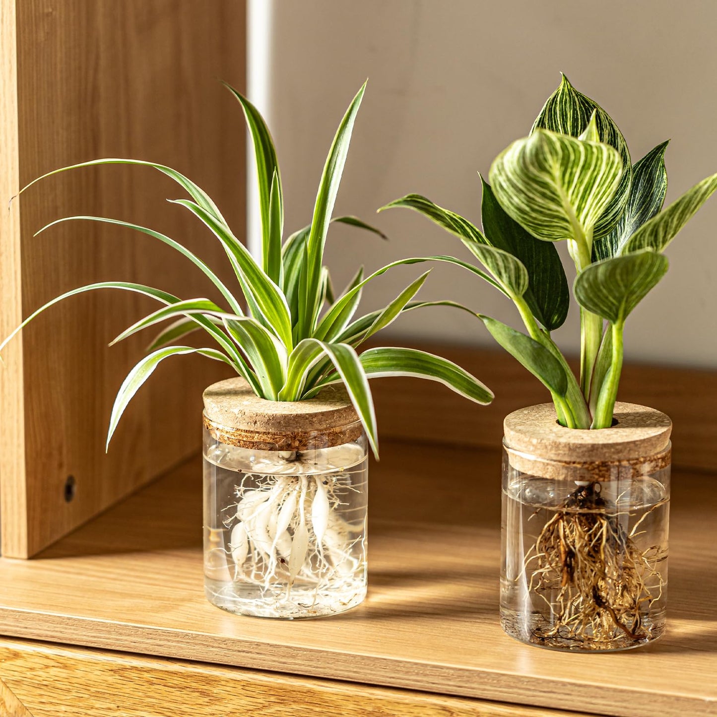 Glass Plant Propagation Stations for Plants – Set of 4(2 Large & 2 Small) Hydroponic Vases for Plant Cuttings,Flower Arrangements, Home & Office Decor–Desktop Vases for Living Room, Bedroom (4)