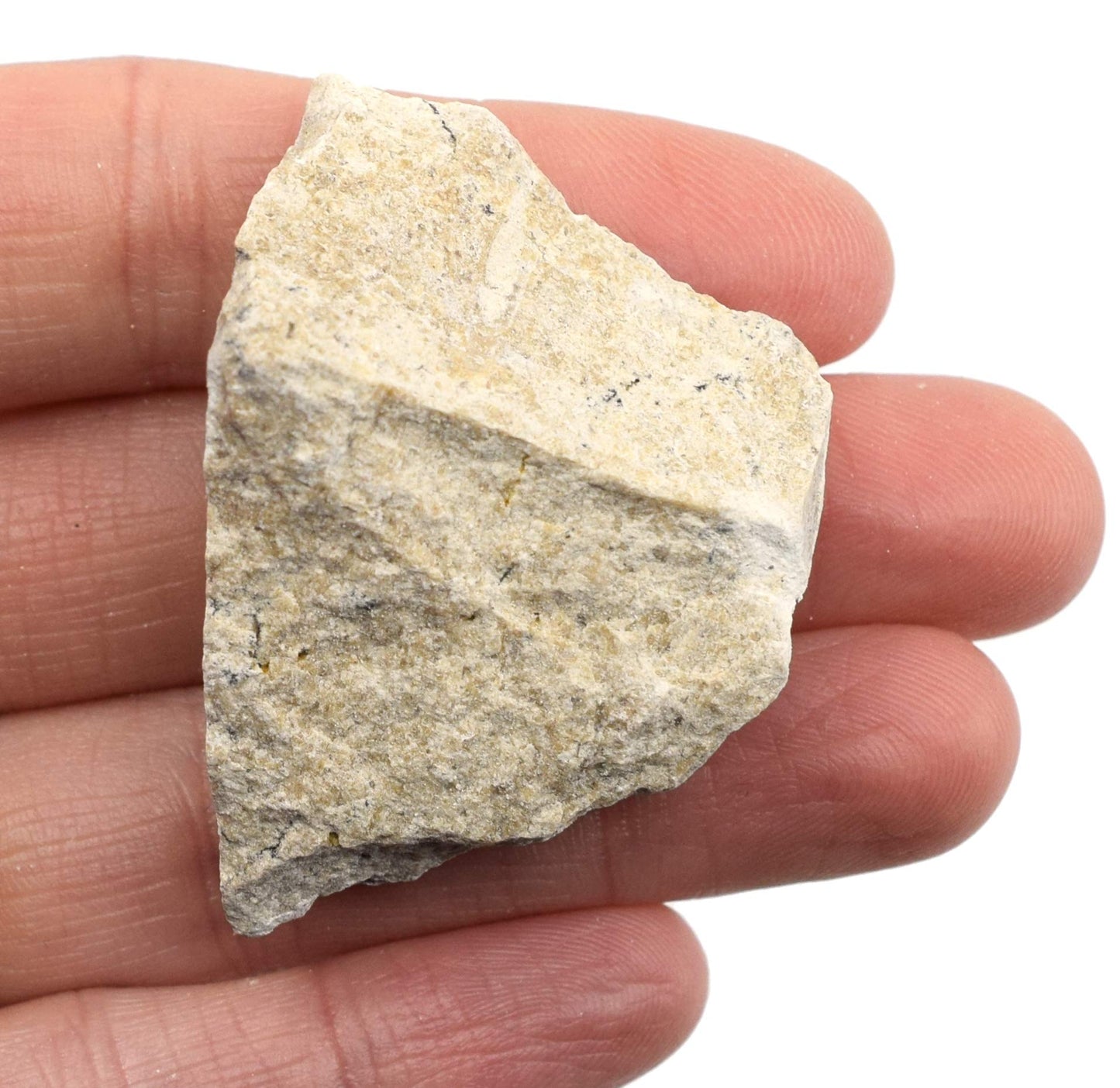 EISCO - 12PK Raw Travertine, Sedimentary Rock Specimens - Approx. 1" - Geologist Selected & Hand Processed - Great for Science Classrooms - Class Pack