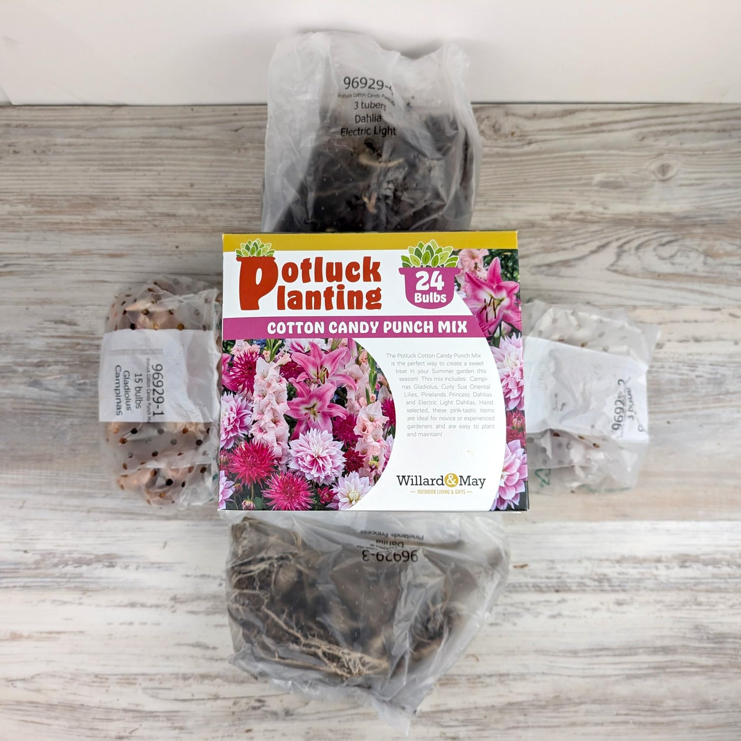 All-in-One Flower Bulb Garden Kit - Cotton Candy Punch Mix - 24 Flower Bulbs per Box - Dahlias, Gladiolus, Lilies - Fragrant - Naturalizing - Live Outdoor Potluck Planting - Easy to Plant Flowers