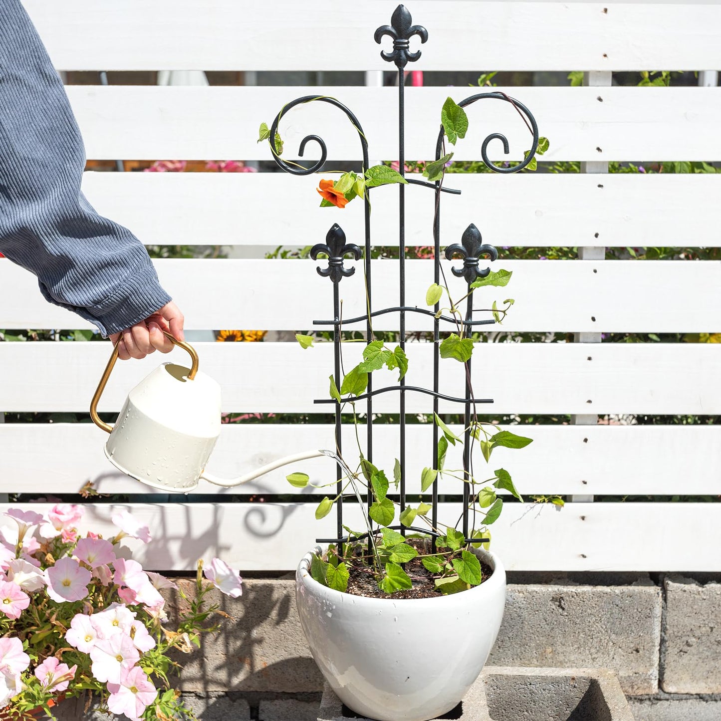 GOOOXIM 31" Trellis for Climbing Plants Indoor - Heavy Duty Metal Support for Potted Plants, Ideal for Vining Plants, Perfect for Tall Monstera & Houseplants, for Gardeners & Plant Lovers