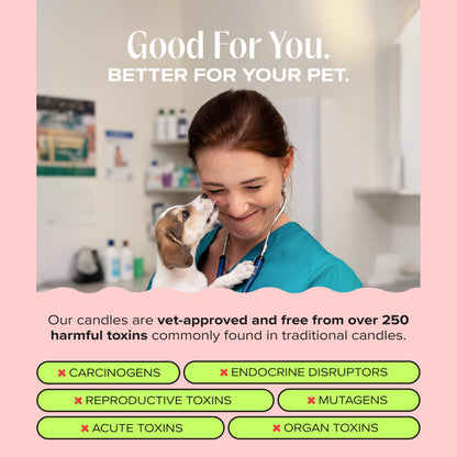 Companion Candles Anywhere with You Pet-Friendly Scented Candle – Grapefruit & Vanilla Fragrance - Coconut Soy Wax Candle with Wooden Wick, Approx. 50-Hour Burn Time, Made in USA, 11.8 oz