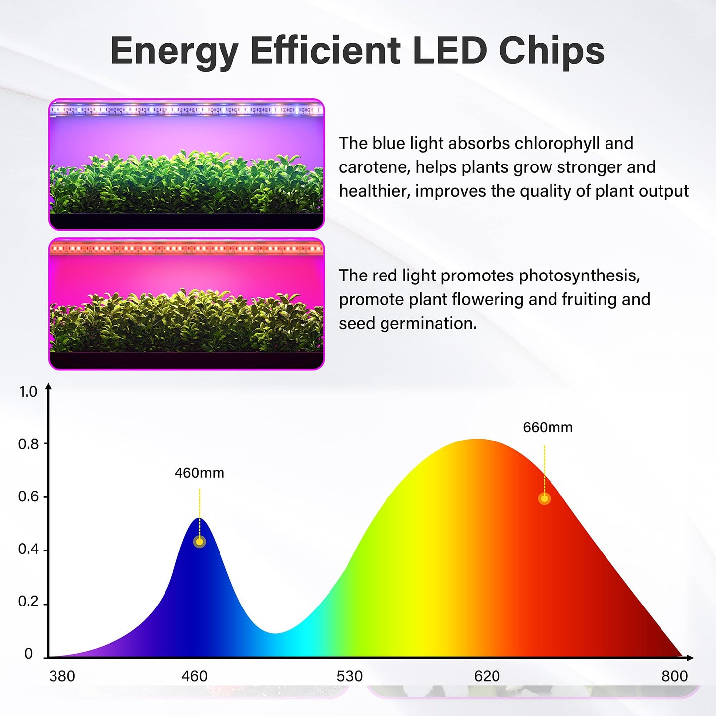 iPower 60W LED Grow Lights with Full Spectrum Plant Growing Light Strips for Indoor Plant with Auto ON/Off 3/9/12H Timer, 10 Dimmable Levels 48 LEDs Per Tude, 4 Tubes, Red&Blue