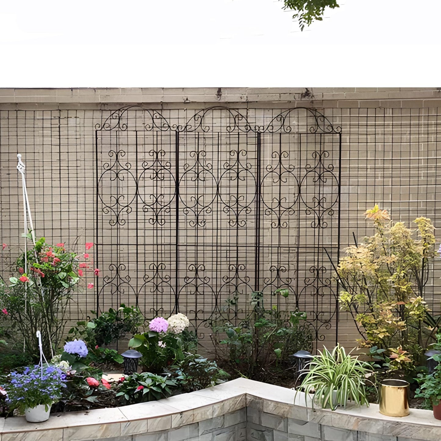Thealyn Garden Trellis 2 Pack 80 Inch.H x 22 Inch.W Heavy-Duty Climbing Plant Trellis Metal Plant Supports Suitable Supporting Climbing Plants Outdoor, Roses, Vegetables, Vines, Flowers