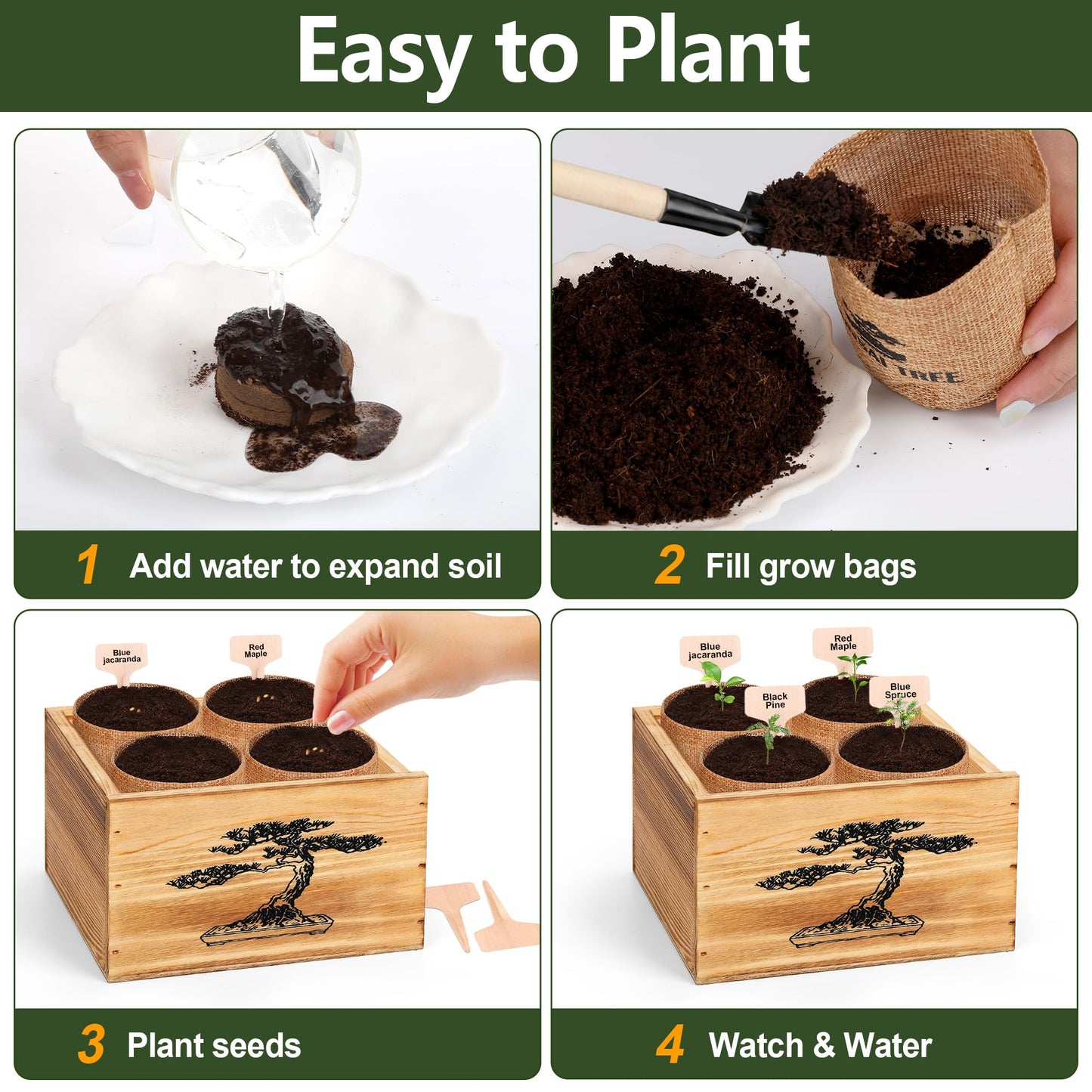 4 Pack Bonsai Tree Kit - 4 Seeds Growing Plant Bonsai Tree Live Kit for Beginners, Easy to Grow Complete Indoor Garden Starter Kits with Wooden Box & Tools, Christmas Gifts for Men Women Plant Lover