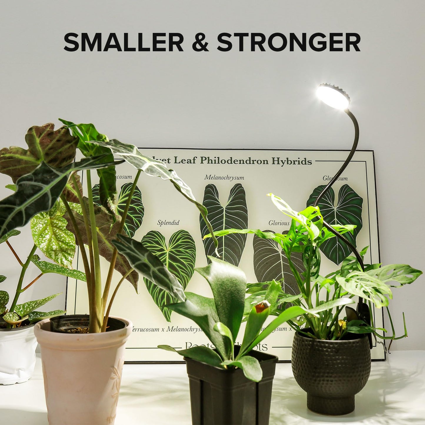 SGLEDs Grow Light for Indoor Plants, Full Spectrum Clip Plant Grow Lights, 7W LED Plant Growing Lamps with Auto On/Off Timer 4/8/12H, 4 Level Dimmable Brightness for Small Plant Light,3 Pack