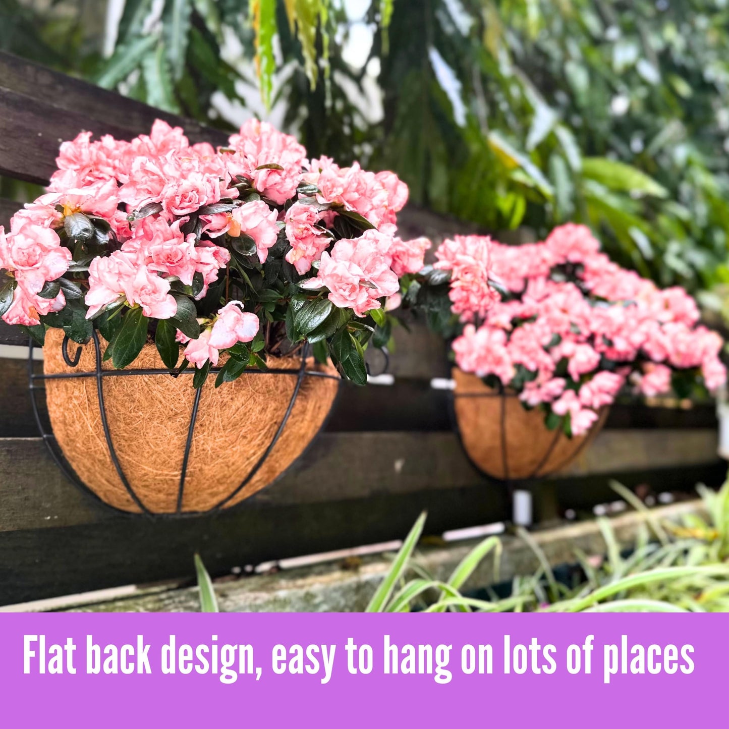 Shoplala Wall Hanging Planter for Outdoor (2 Pack, 10 Inch) Black Metal Hanging Flower Basket for Plants, Wall Planters with Coco Liner Indoor Wall Mounted Plant Holder Outside Balcony Fence Rail Deck