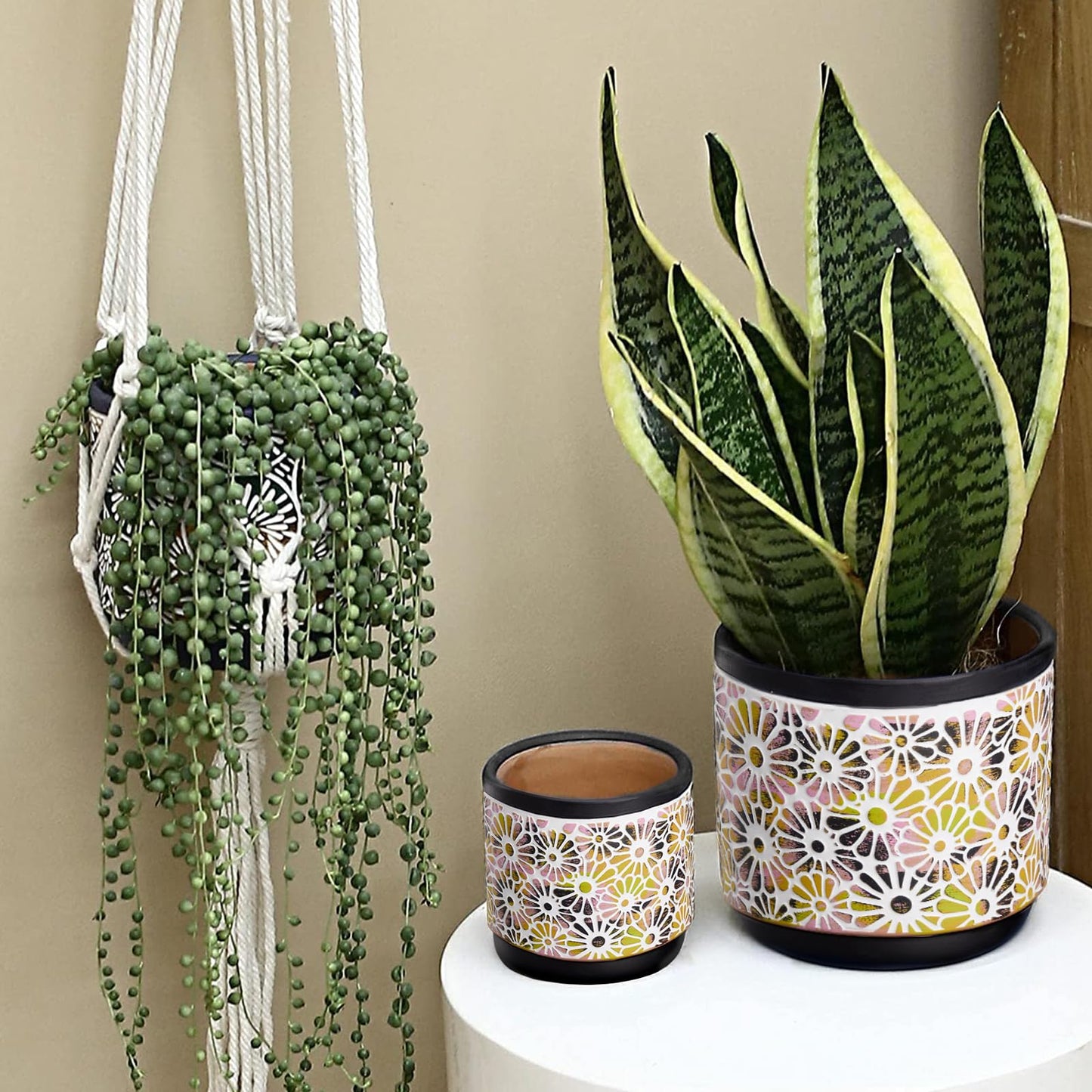 Qipecedm 3 Piece Ceramic Plant Pots, 5.7/4.7/3.5/inch Planters with Drainage Hole, Outdoor Indoor Flower Pots Set, Modern Decorative Plant Pots for Lilies, Cacti, Succulents, Snakes, Bamboo(Black)