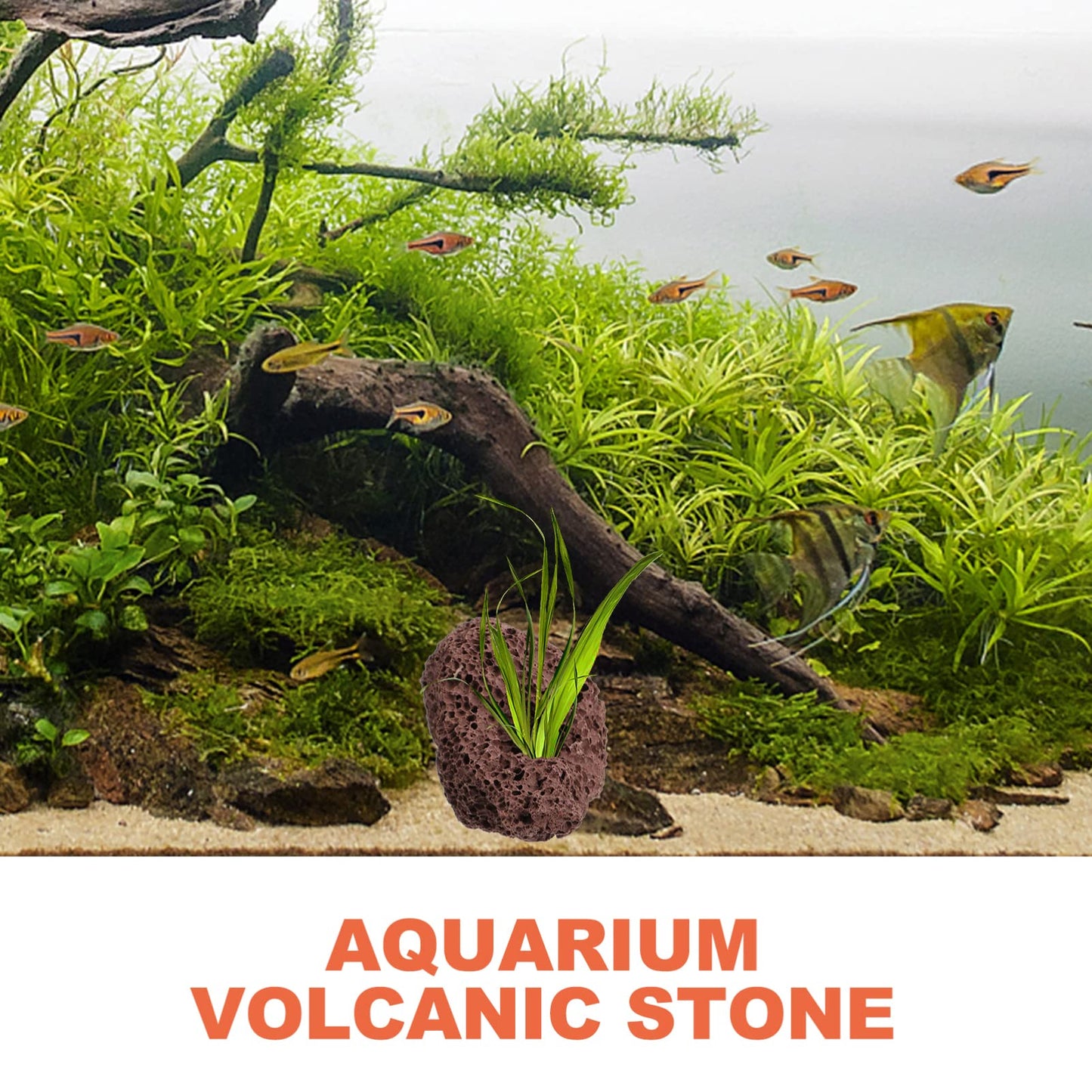 DOITOOL Lava Rock Aquarium 6pcs Volcanic Rocks Small Dark Brown Volcanic Pumice Stones, Aquarium Stones Aquascaping for Fish Tank Decoration, 3.93x2.75x1.57inch