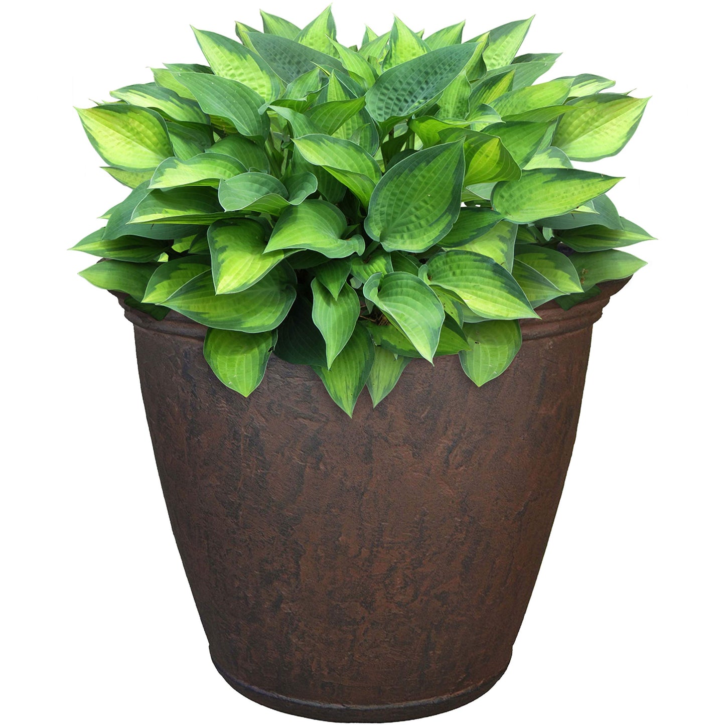 Sunnydaze 15.25-Inch Anjelica Large Plastic Pot for Plants - Outdoor Double-Walled Large Plastic Planter with Drillable Drainage Holes - Rust