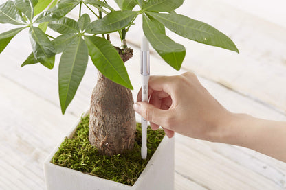 SUStee Watering Indicator for plants (Set of 5) - Smart Watering for All Plants, Works in All Soils | Minimalistic Design, Easy-to-Use, No Batteries | 100% Made in Japan (Green, Medium)