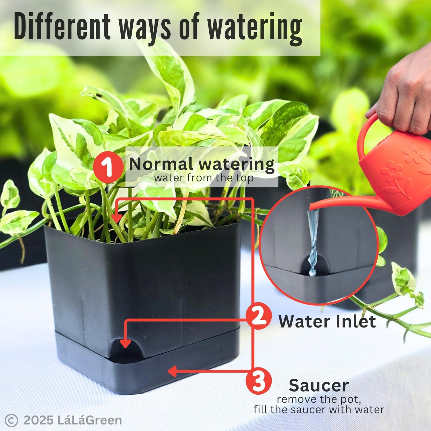 LaLaGreen Planters for Indoor Plants (7 Pack) Self-Watering System Black Window Box Planter, Rectangular Plastic Flower Boxes Herb Garden Long Windowsill Plant Pot with Drainage Modern Stylish Outdoor