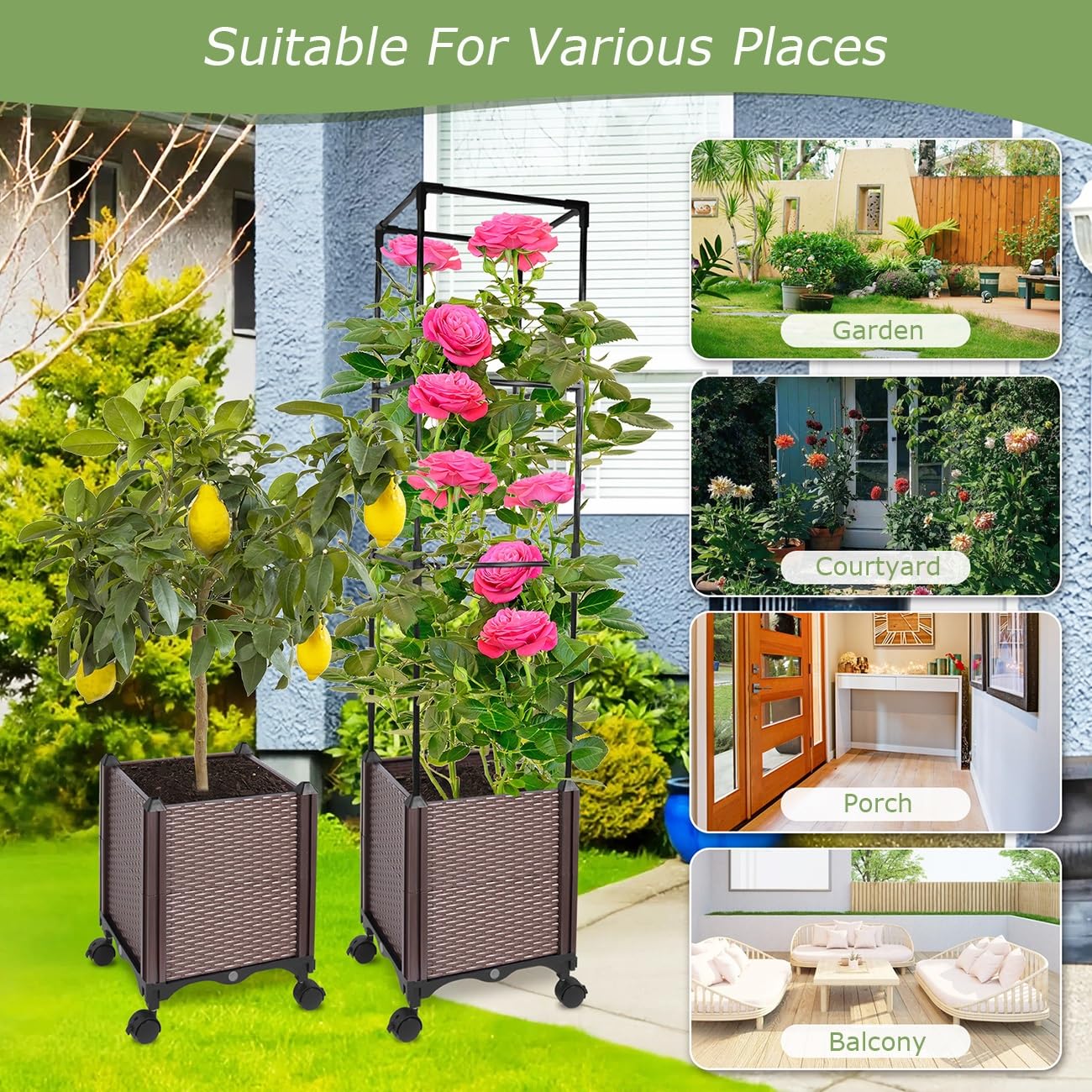 2-in-1 Raised Garden Bed Planter Box with Trellis Wheels, Tomato Cage for Indoor Outdoor Climbing Plants Vegetable Vine Flowers(180cm/70.9″)