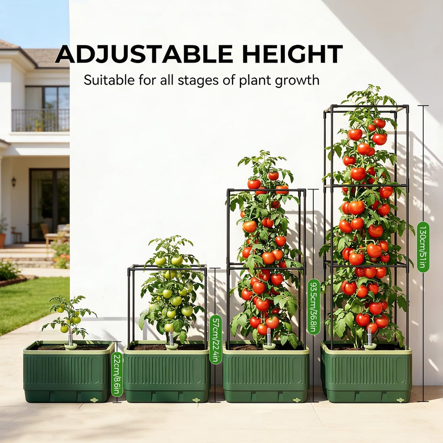 Raised Garden Bed Tomato Planter with Trellis, 52" Self Watering Tomato Planter with Water Level Indicator, Larger Rectangular Tomato Cages for Indoor & Outdoor Climbing Vegetable and Plants (1)