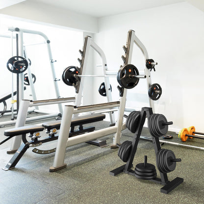 Weight Plate Rack, Weight Tree, 1-Inch Home Gym Storage Stand, Holds 300 lbs