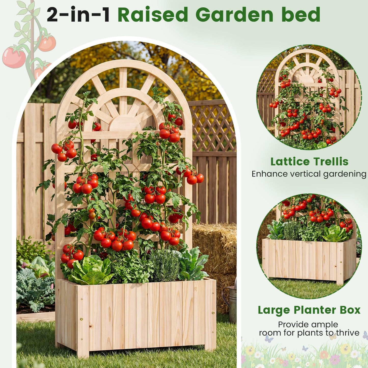 Happygrill Wooden Raised Garden Bed with Trellis, Outdoor Planter Box with Drainage Holes, Privacy Screen, Natural Fir Wood Elevated Garden Bed for Climbing Plants Flowers (1, Natural, 24''x12''x48'')