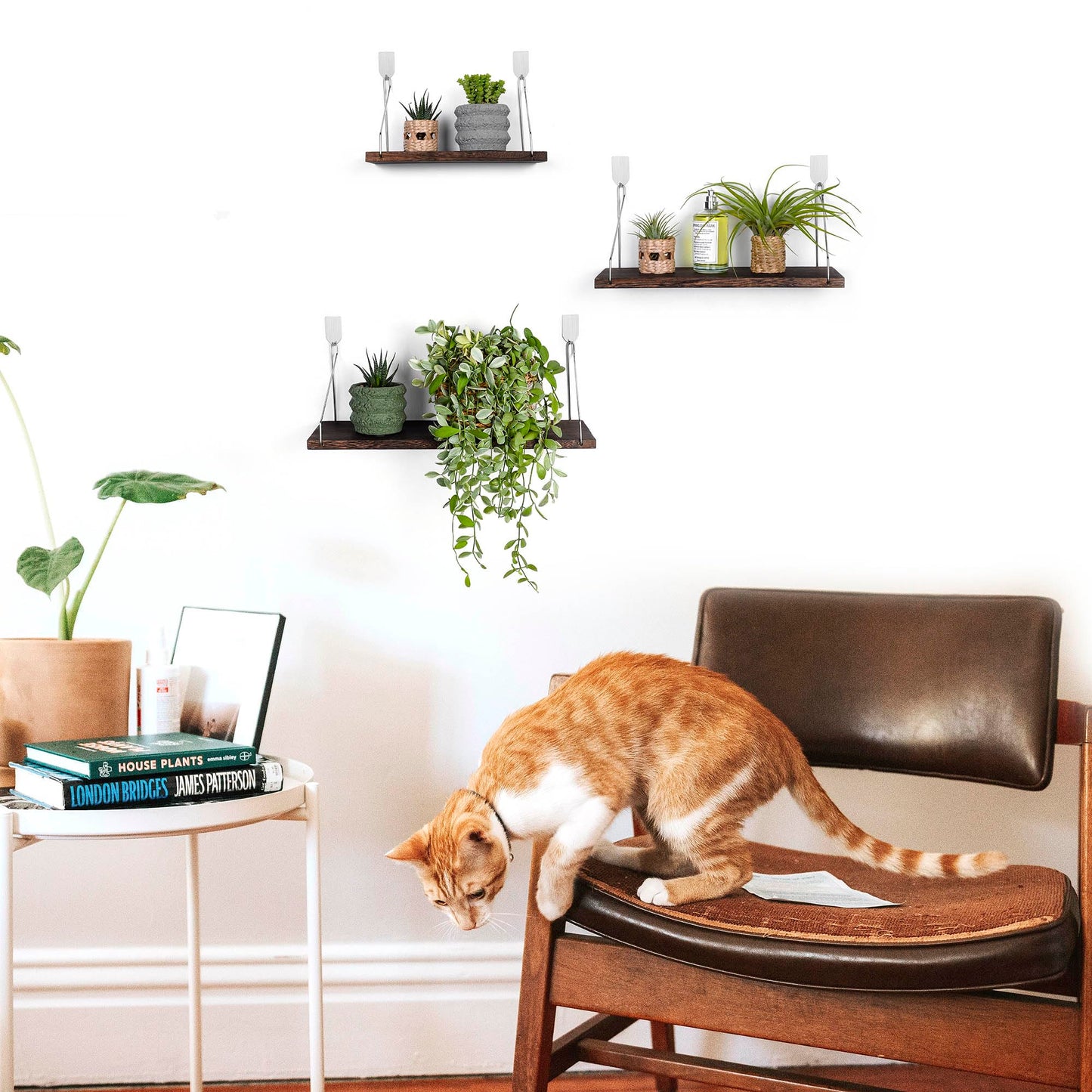 MITIME Floating Shelves Set of 3 Rustic Solid Wood Floating Shelf Wall Storage Shelves for Living Room, Bedroom, Bathroom, Kitchen Laundry, Office.no Drill Shelf.(Retro Color L+M+S)