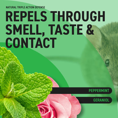 RepellShield Rat & Mouse Repellent Spray - Natural Peppermint Oil, Family & Pet Safe - Protect Your Home, Garden & Garage, Alternative to Traps, Use Indoors & Outdoors, Made in Germany, 250ml