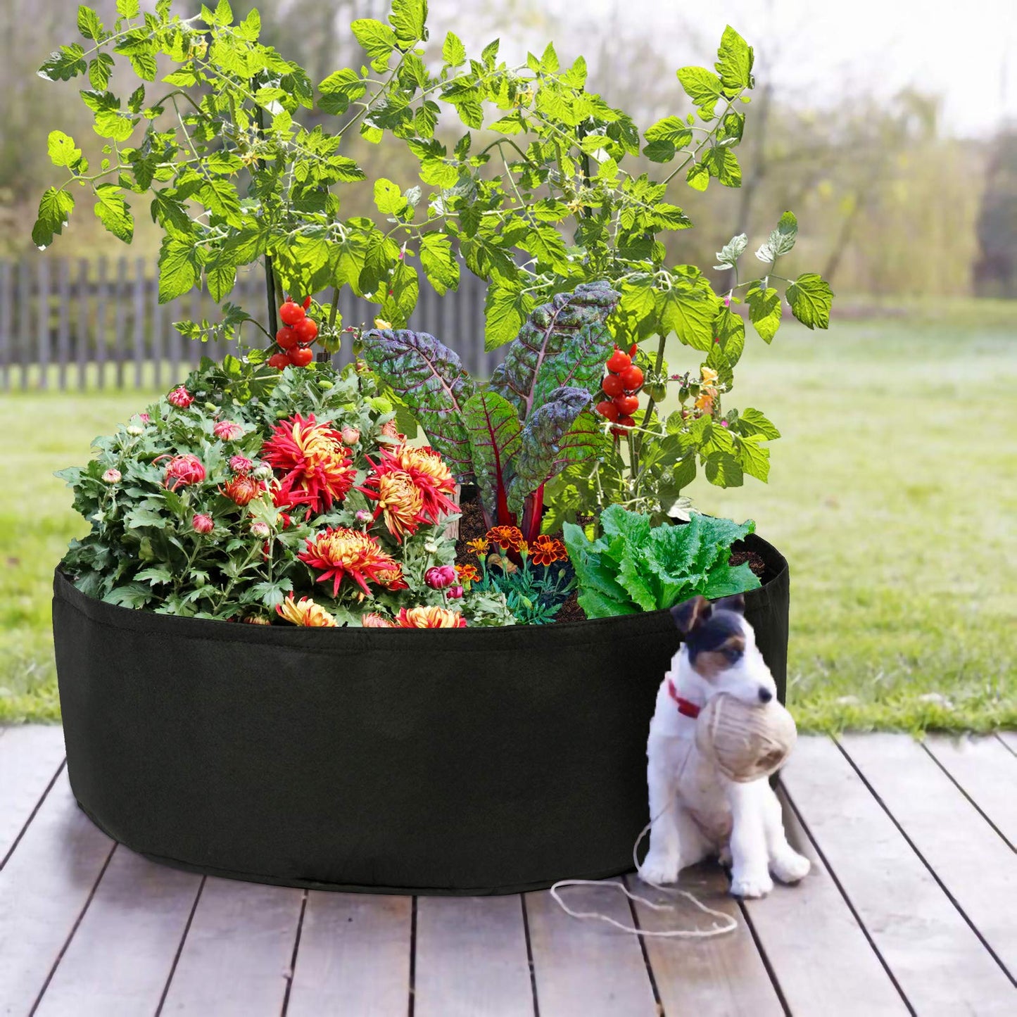 Firlar Fabric Raised Garden Bed, 15 Gallon Round Raised Bed Planter Grow Bag Garden Bed Bag for Plants, Herb, Flowers and Vegetables, Black (Dia 24 x H 8)
