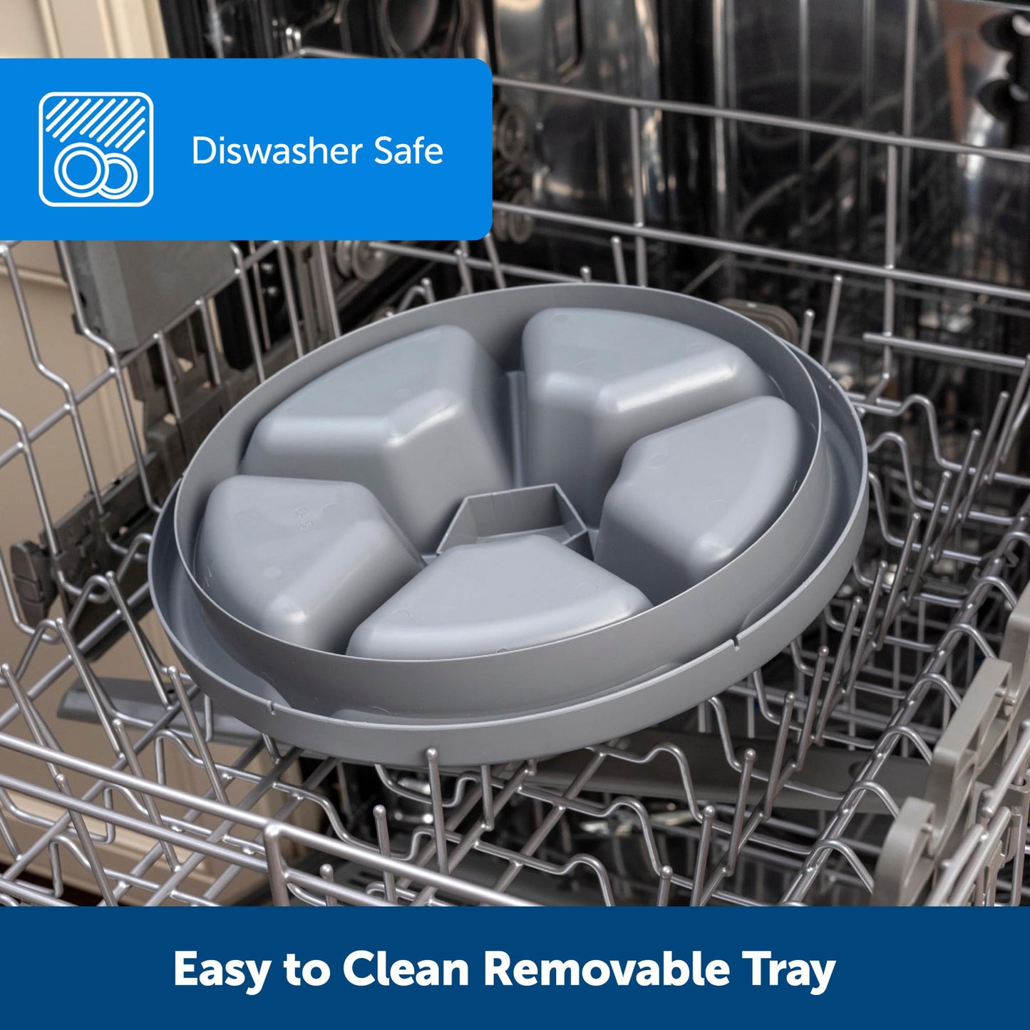 PetSafe 5 Meal Automatic Dog and Cat Feeder, Dispenses Dog Food or cat Food, Digital Clock