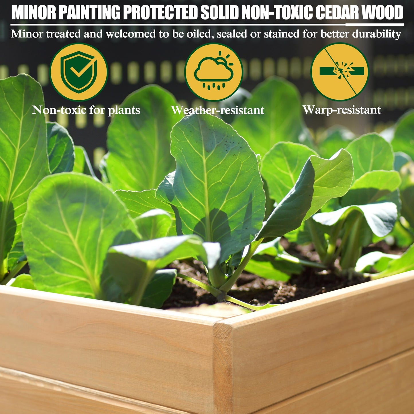MUPATER Outdoor 6x3x2FT Cedar Raised Garden Bed for Vegetables with 6 Legs, 837lbs Large Elevated Garden Planter Box with Liner Design for Herbs and Flower, Natural