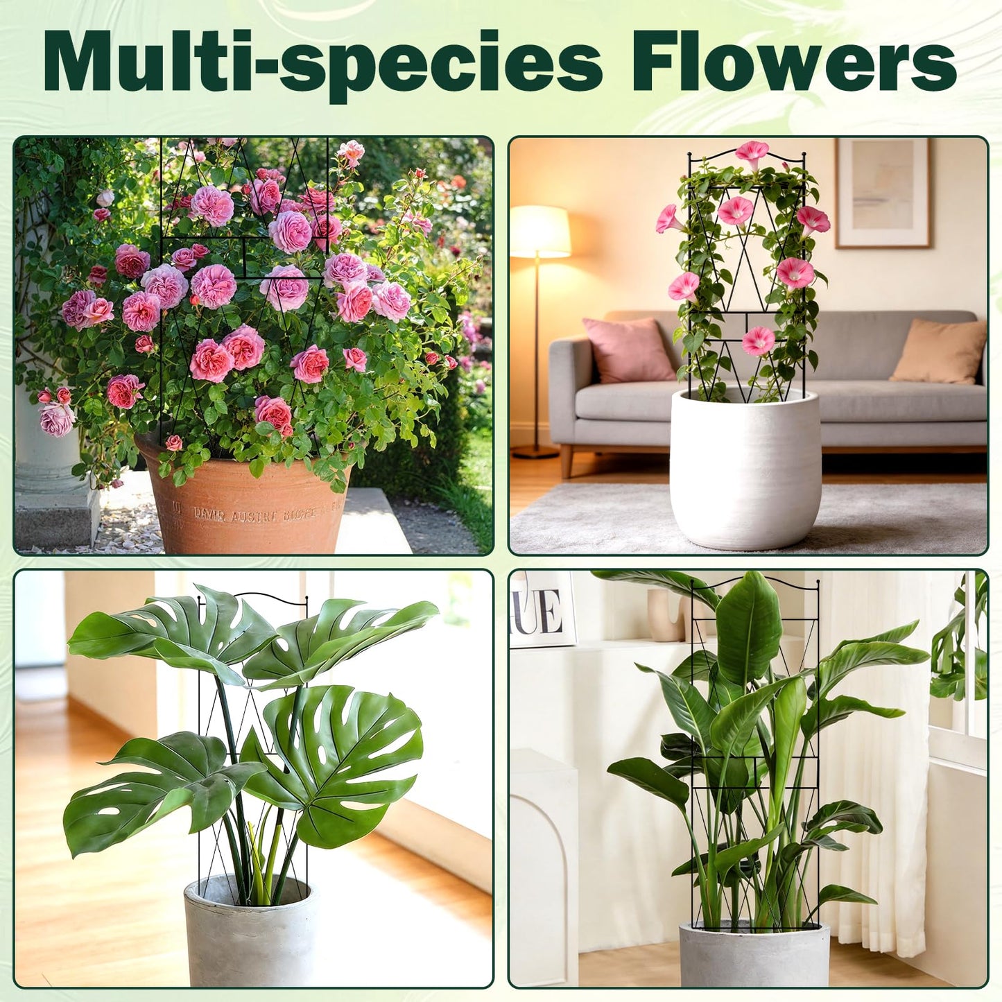32 Inch Metal Plant Trellis for Climbing Plants, 4 Pack Garden Trellis, Decorative Support for Pothos, Monstera, Ivy, Flowers & Houseplants，Indoor & Outdoor