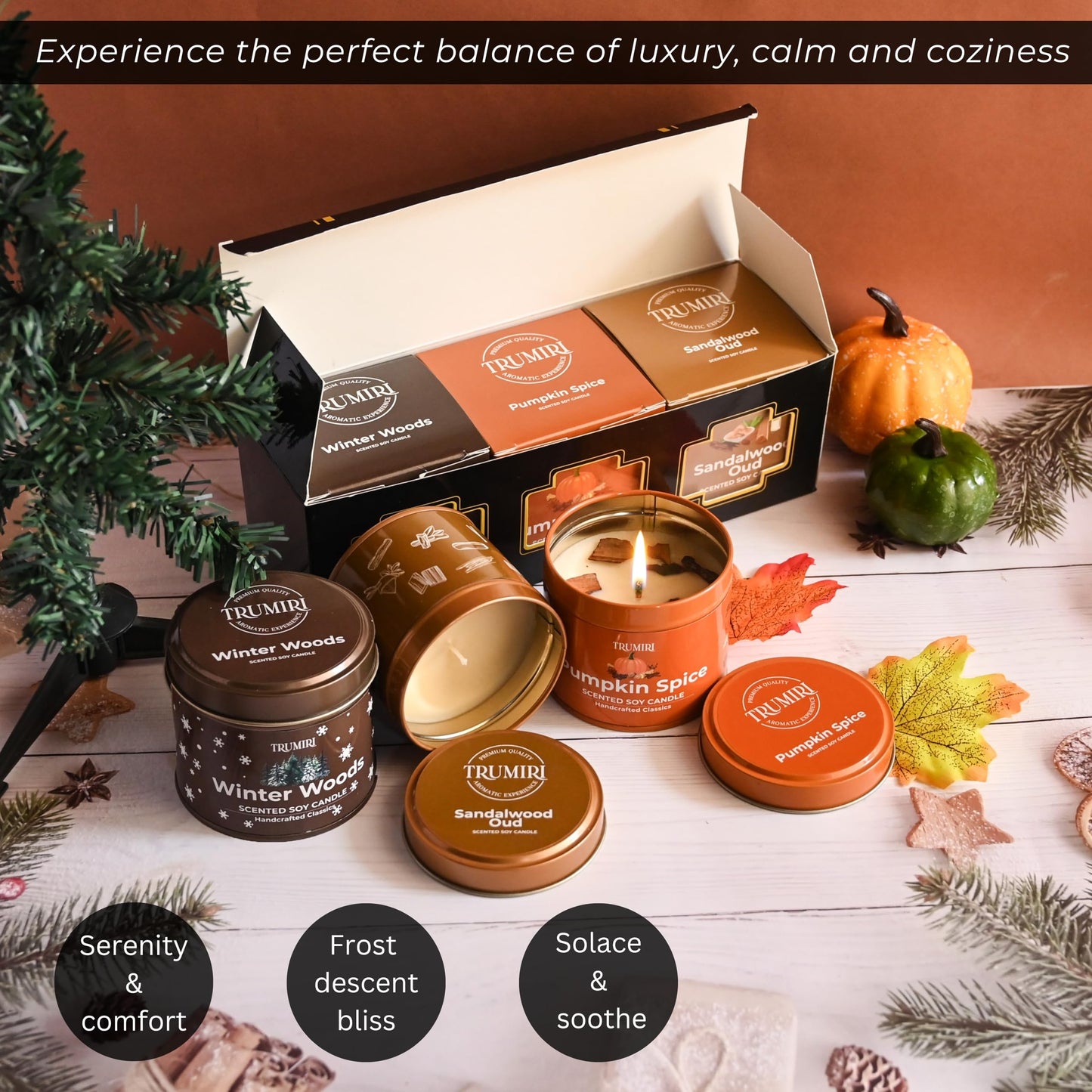 Winter Woods, Pumpkin Spice, Sandalwood Oud - Soy Candles Non Toxic - Highly Scented Long Lasting with Essential Oils - Variety Pack of 3 x 5oz - for Home Aromatherapy Meditation Gift Travel