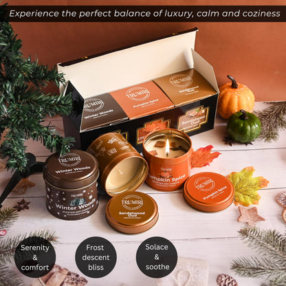 Winter Woods, Pumpkin Spice, Sandalwood Oud - Soy Candles Non Toxic - Highly Scented Long Lasting with Essential Oils - Variety Pack of 3 x 5oz - for Home Aromatherapy Meditation Gift Travel