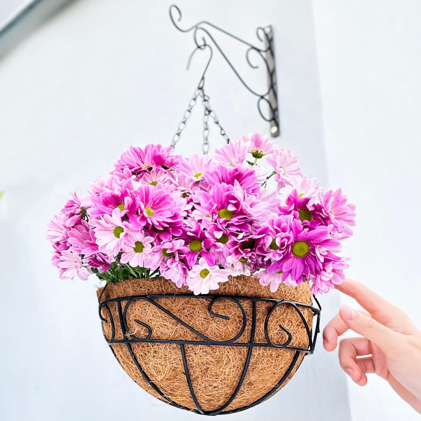LaLaGreen Hanging Planter for Outdoor Plants (12 Inch, 6 Pack) Hanging Baskets with Coco Liner, Black Metal Wire Flower Basket Pots with Hook Hanger Balcony Porch Farmhouse Country Style Garden Decor