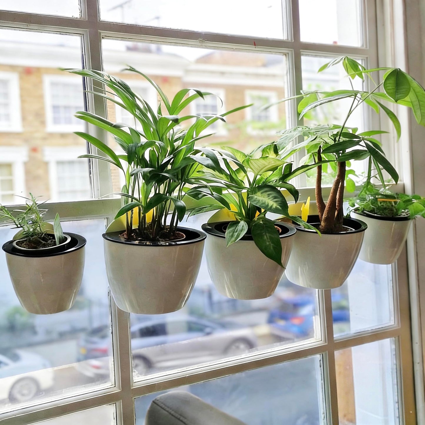 3 Pack Self Watering Wall Hanging Planter Pots Vertical Garden Window Hang Mount Indoor Outdoor Plant Flower Basket for Kitchen Herbs Balcony Railing Shelf Fence Bedroom Trellis Decor Modern White Box