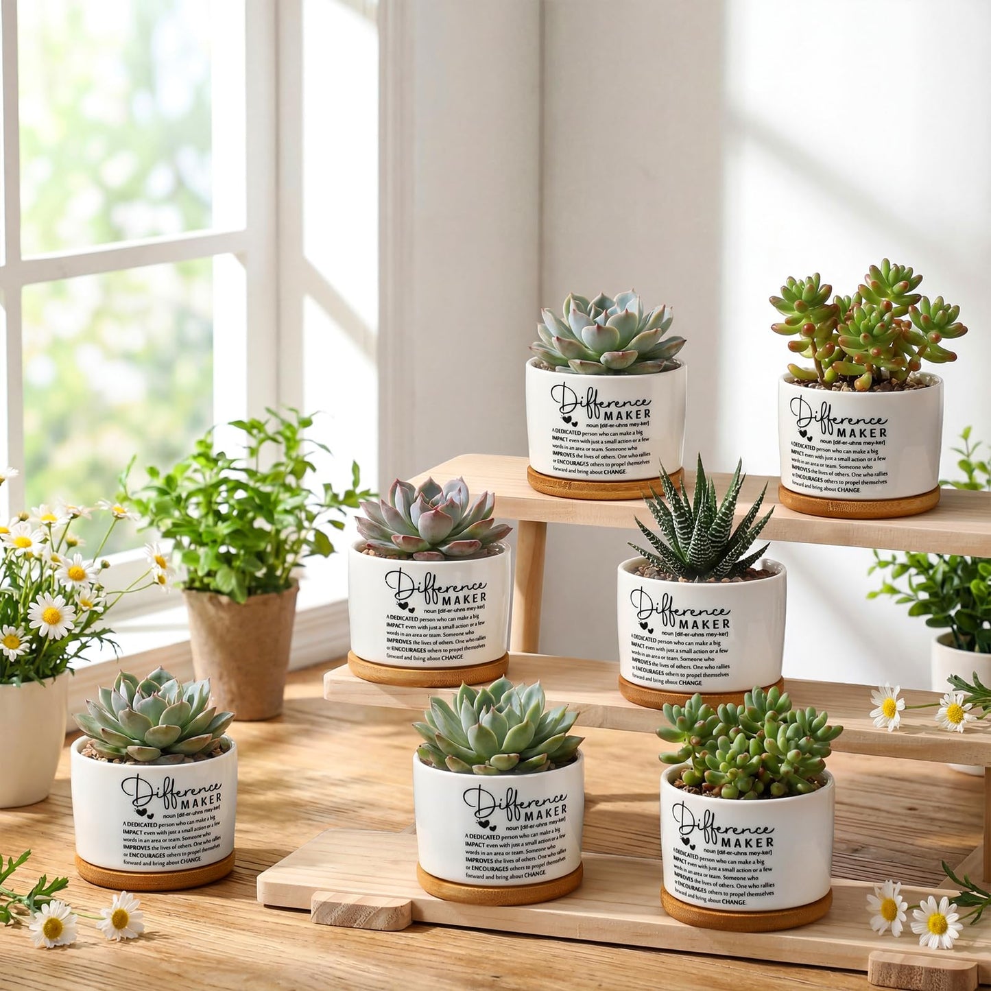 SEEWEY 12 Pcs Difference Maker Employee Appreciation Gifts Succulent Pots Bulk Inspirational for Coworker Team Small Ceramic Plant Pots with Bamboo Trays for Office Staff Women Men