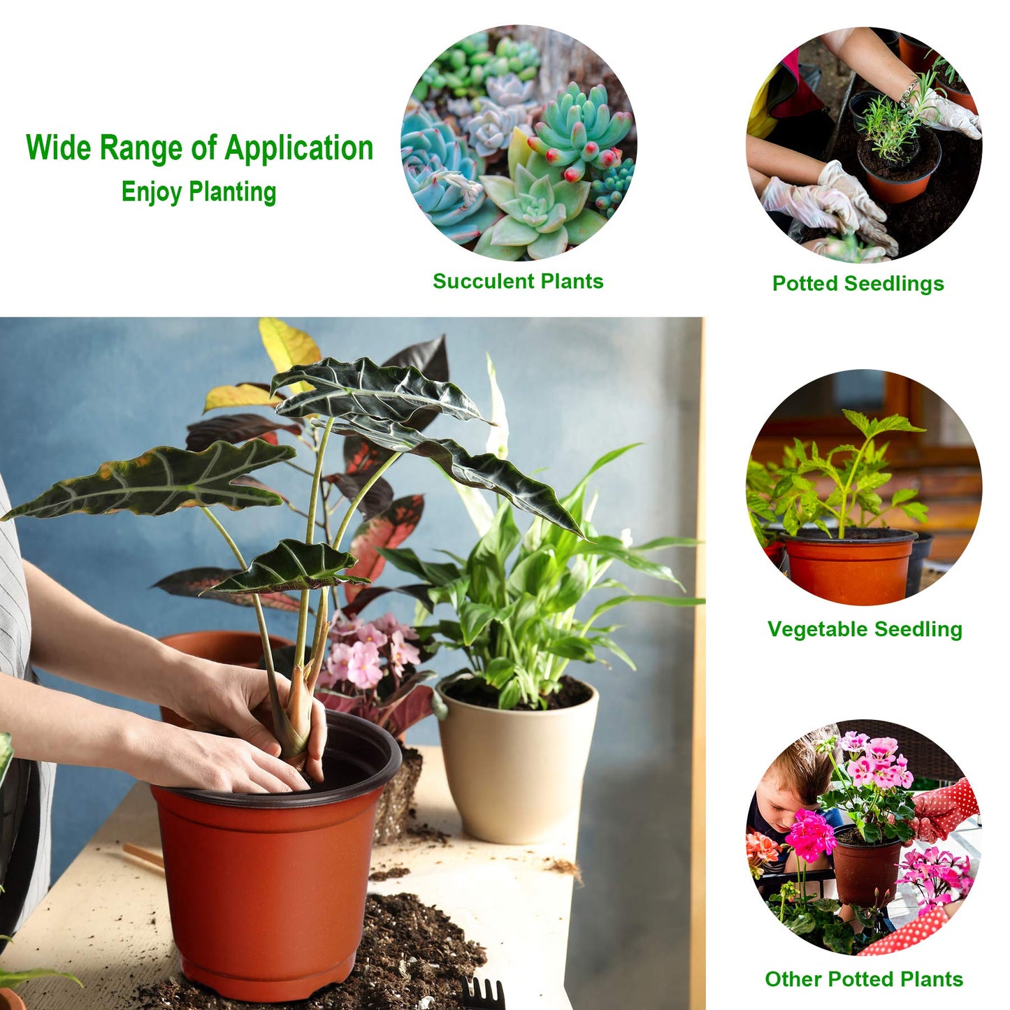 Augshy 110 Pcs 6" Plastic Plants Nursery Pot, Seed Starting Pots for Succulent Seedling Cutting Transplanting