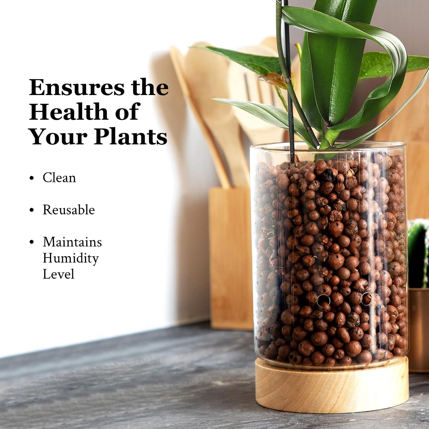 Pot & Pebble - C1 Glass Planter with Wooden Base - Indoor Glass Planter with Water Level Control Holes -Grow Plants in LECA Clay Pebbles/Similar Media - Semi Hydroponic Planter - Plant Cutting Holder