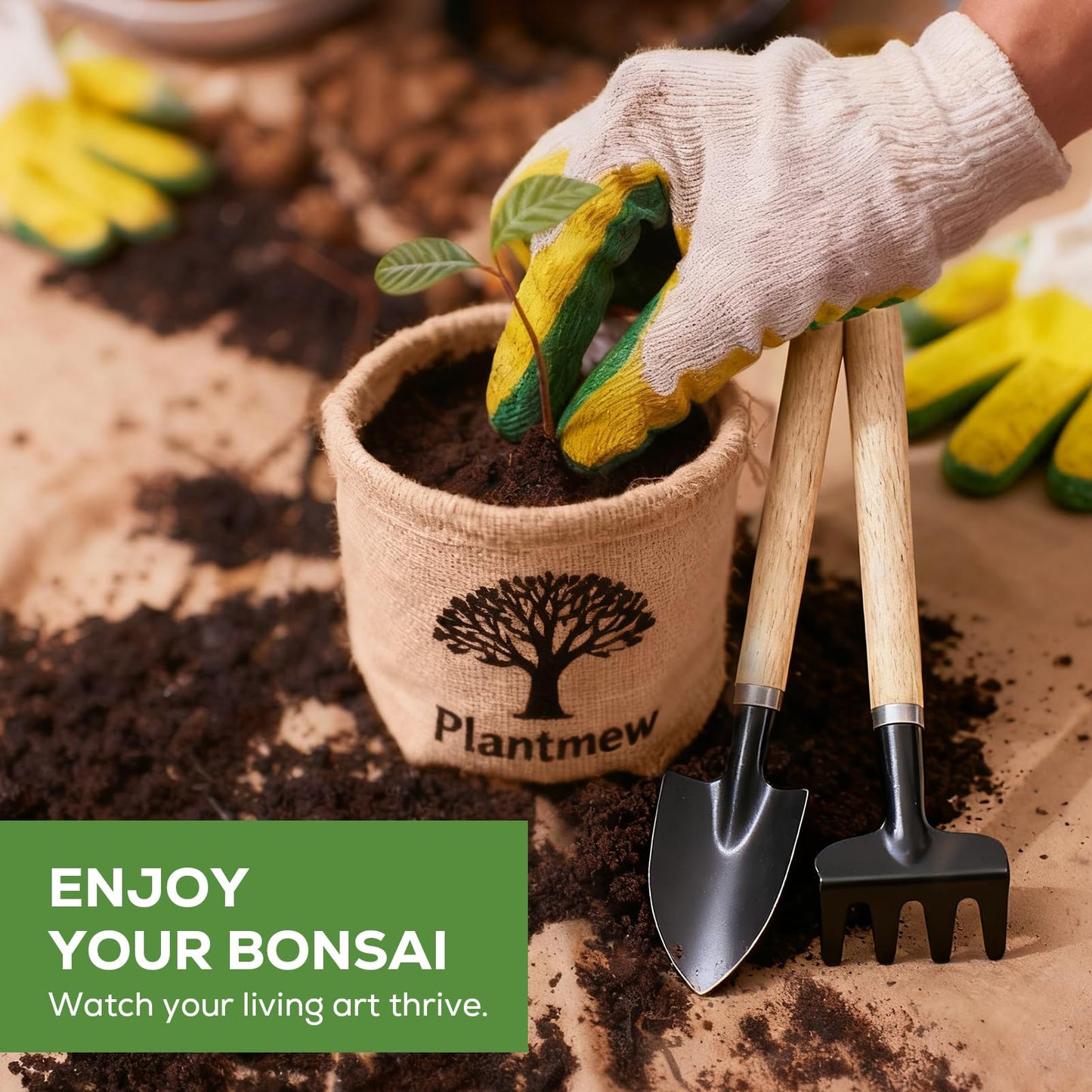 Christmas Gifts & Crafts for Adults - Bonsai Tree Starter Kit with 5 Unique Japanese Trees | Complete DIY Gardening Kit for Birthday | Gifts for Women, Men, Mom, Dad, Plant Lovers