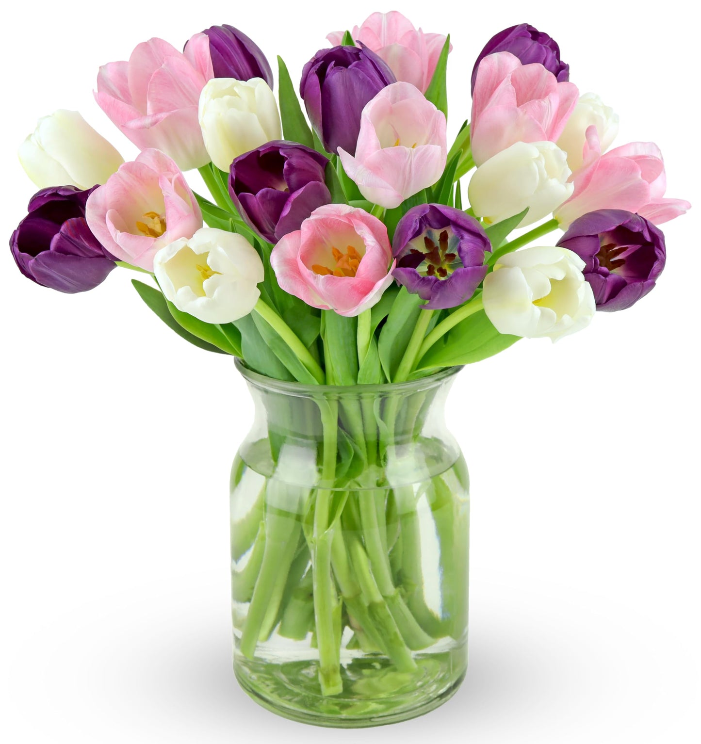 Benchmark Bouquets - White, Pink, Purple Tulips - Fresh Flowers for Delivery - Mothers Day Gifts for Wife - Birthday Flowers for Women - Teacher Appreciation Gifts - Glass Vase Included (20 Stems)