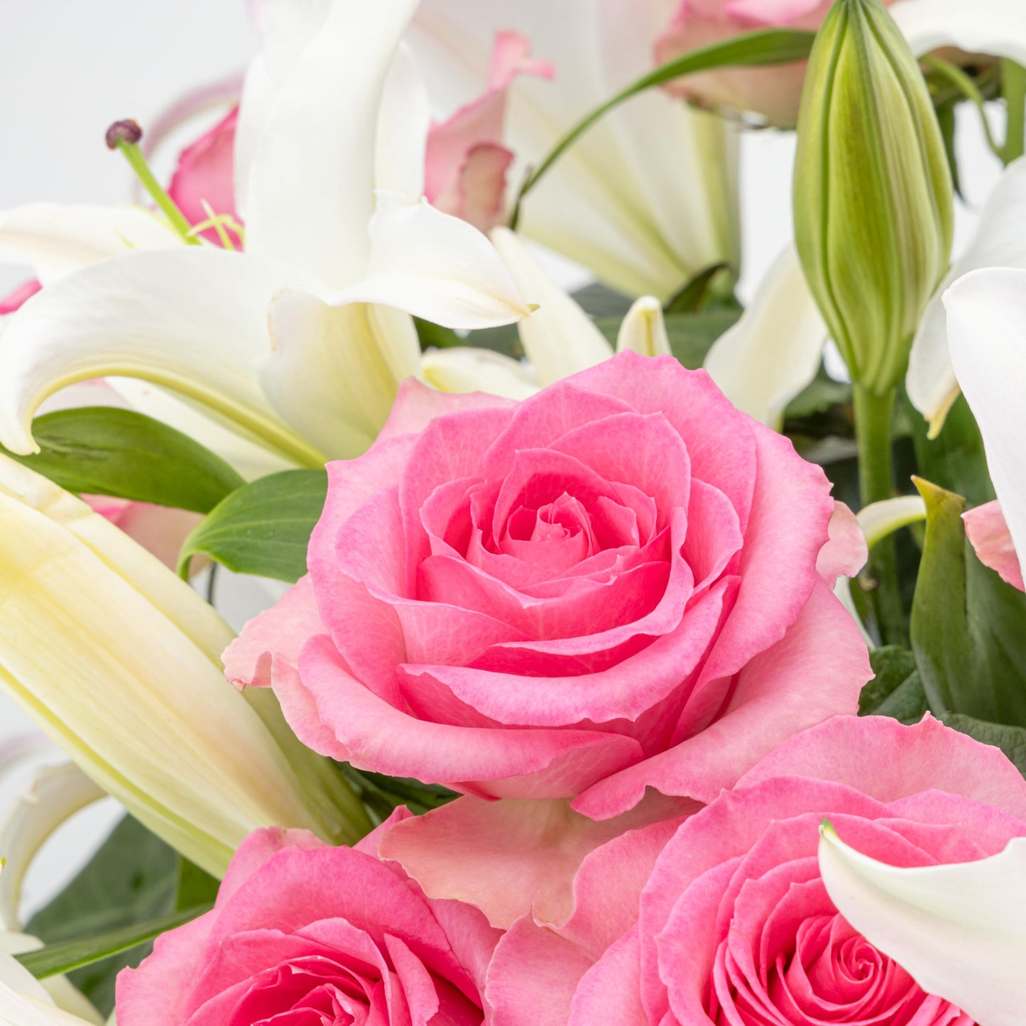 Benchmark Bouquets - Oriental Lily Flower & Pink Roses Bouquet - Fresh Flowers for Delivery - Real Flowers in a Vase - Gift Set for Mom - Mothers Day Gifts - Long Stem Roses (Glass Vase Included)