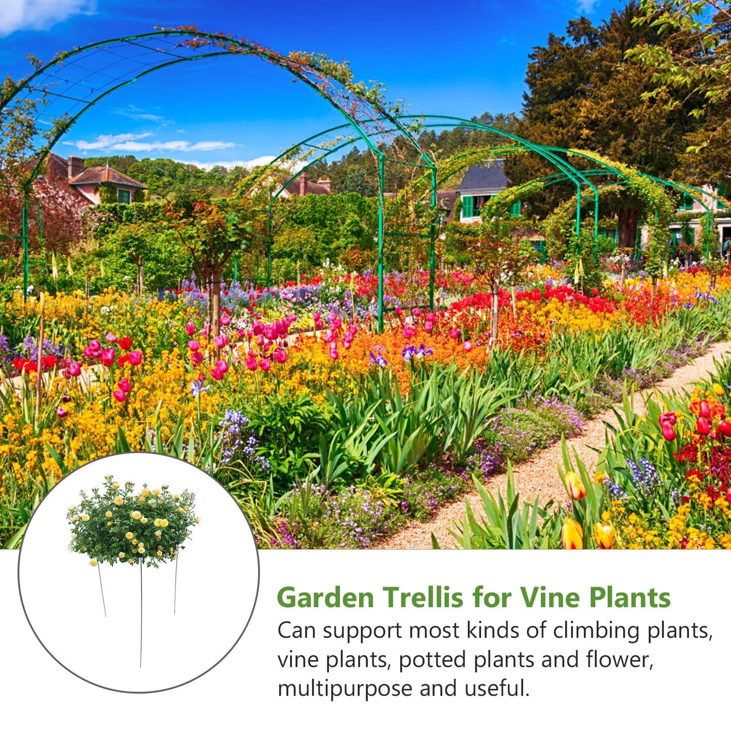 BESPORTBLE Garden Vine Plant Trellis Climbing Support Stand Metal Frame Green 30x45cm for Outdoor Indoor Potted Plants
