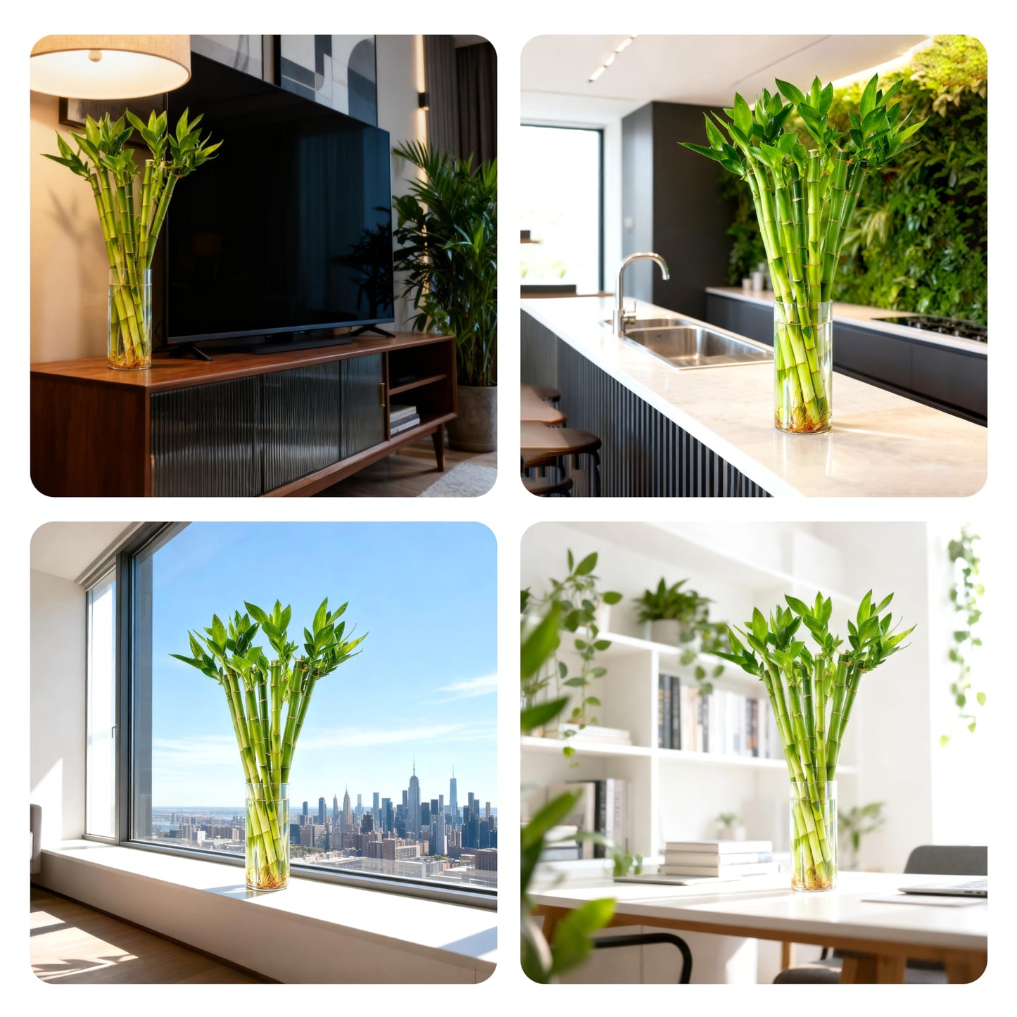 Yagaliga Lucky Bamboo 10 Stalks 18″ Live Indoor Plant Set – Perfect for Low-Light Spaces (Glass Container Not Included)