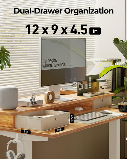 TENKIA 55x24 Inch Electric Standing Desk with Double Drawers, Adjustable Feet & Hooks, Ergonomic Home Office Workstation, Light Rustic