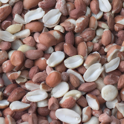 Leagrams Value Whole & Split Peanuts for Wild Birds (12.55kg)