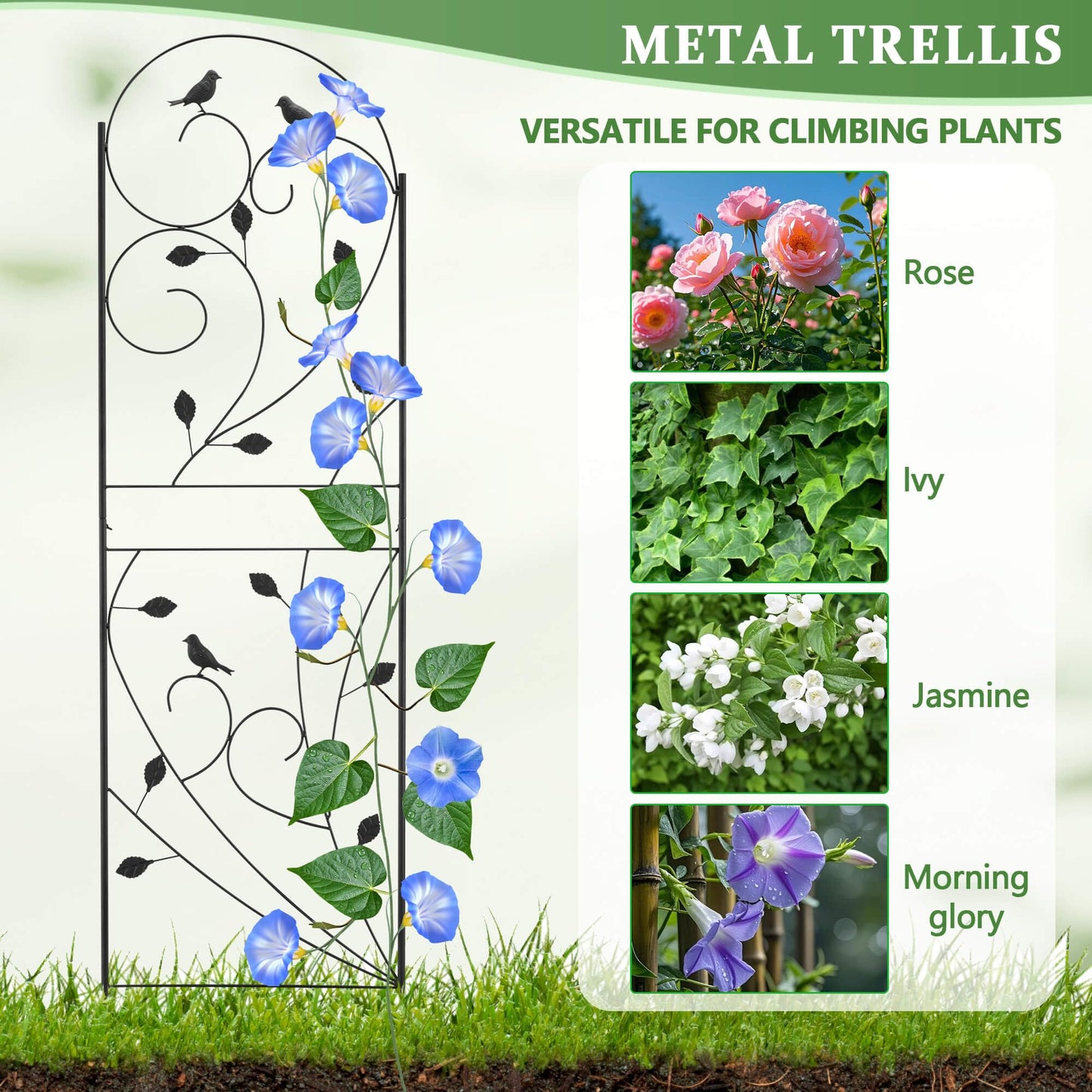 Garden Trellis for Climbing Plants, 71" H x 20" W, 2 Pack Heavy-Duty Metal Garden Trellis, Black Coated Rustproof Trellis for Plants Outdoor, Roses, Ivy, Flowers, and Vines