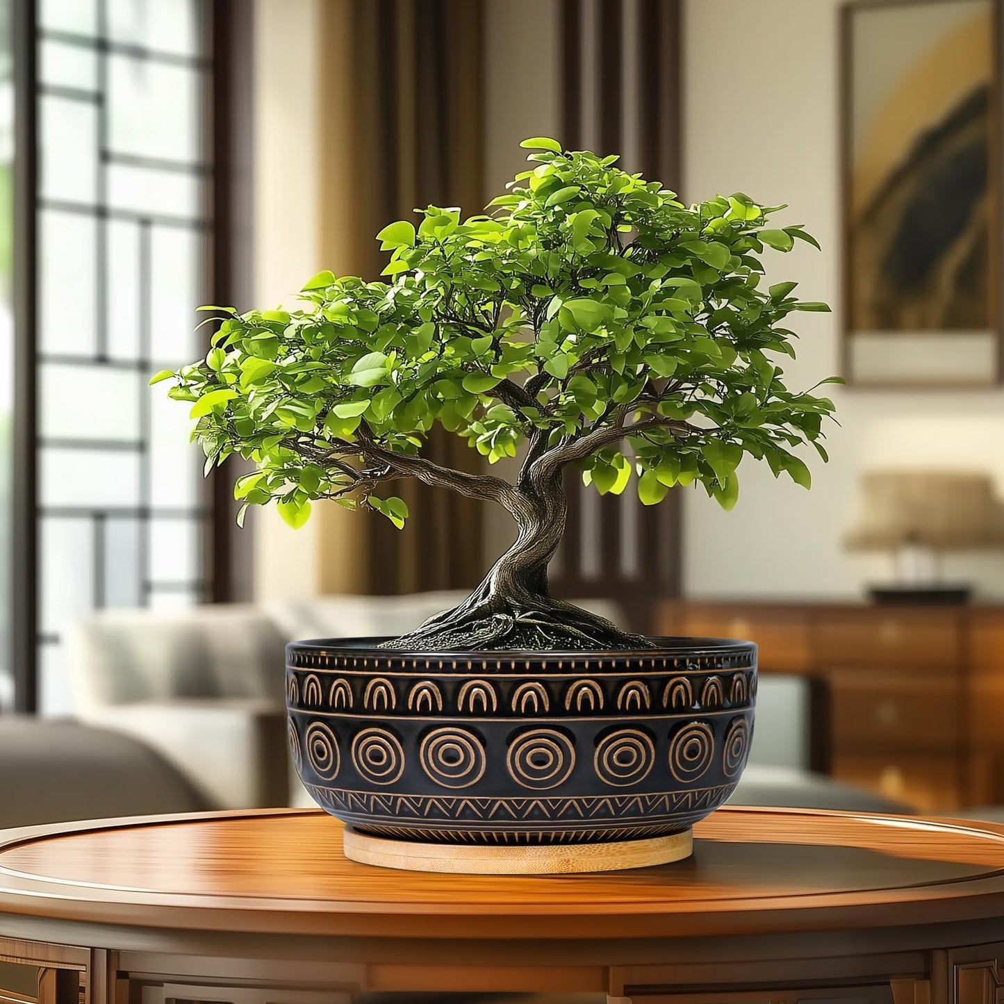 Eightpot Ceramic Bonsai Pots - 8 Inch Plant Pot for Succulent, Round Planter for Indoor Plants, Shallow Planters with Drainage Hole and Tray, Boho Bonsai Bowl, Living Room Decor, Black