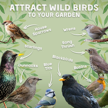 Copdock Mill Wild Bird Seed & Grain Mix 20kg Bag All Year Round High Energy Wild Bird Food 100% Natural Ingredients Including Sunflower Seeds and Peanuts