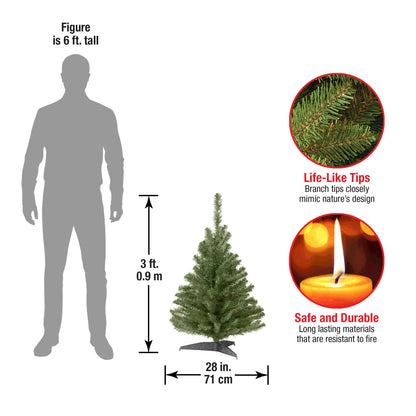 National Tree Company 3 ft Unlit Kincaid Spruce Mini Artificial Christmas Tree, 113 Tips, Includes Stand, Green